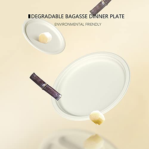 Yongzhukang Paper Plates Disposable, Compostable Heavy Duty Plates 9" Biodegradable Sugarcane Bagasse Plates For Dinner Halloween Thanksgiving Christmas Valentines Holiday Party 125 Pack #TOP6