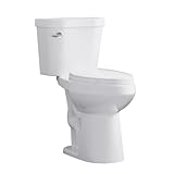 Two Piece Toilet 19 inch Chair Height Elongated Bowl, Side Handle, High Seat Toilet for Seniors, Comfortable Bathroom Toilet with Soft-Close Seat White