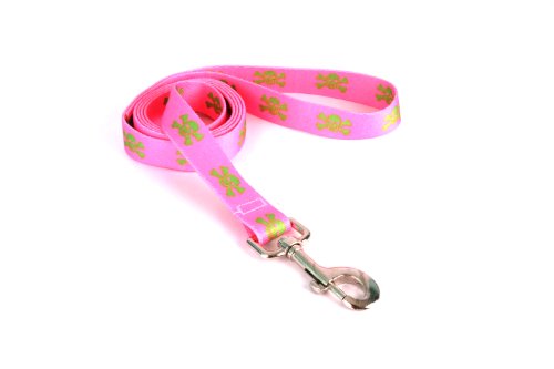 Image of Yellow Dog Design Standard Lead, Pink /Green Skulls 3 /8 inch x 60 inch (5 ft.)