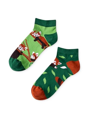 Dedoles Socken Unisex Damen Herren & Kinder Baumwolle viele lustige Designs 1 Paar Geschenk links rechts verschieden Farbe: Grün Motiv: Roter Panda (Knöchelsocken) Gr. 35-38