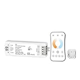 Transformateurs basse tension TRWUQHGD Contrôleur LED WW CW 12V 24V 10A 2CH 2.4G, Barre Lumineuse CCT Monochrome, contrôleur de Gradation LED, télécommande sans Fil avec Support V2(Model C)