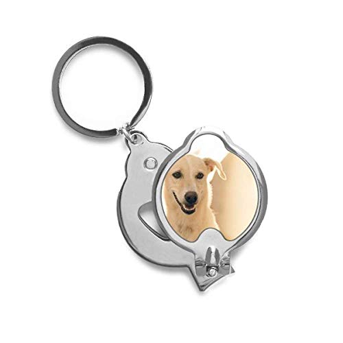 Trimmer et coupe-ongles chien blanc souriant parfait pour le toilettage maison