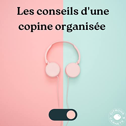 Couverture de Les conseils d'une copine organis&eacute;e