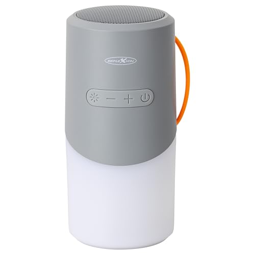 Reflexion BTX705 Bluetooth Lautsprecher Grau mit LED-Licht | Kabelloser Musikbox mit 40W Sound, IPX Schutz & MicroSD Slot | USB-C, 3 Std. Wiedergabe | Kompakt & tragbar