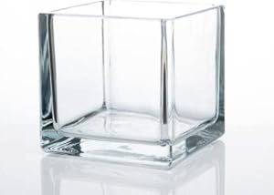 Aivyansh Crystal Glass Square Flower Vase Center Piece for Table for Home, Office, Living Room Decor Without Flowers Glass Vase (Clear, Small, 4 inch)