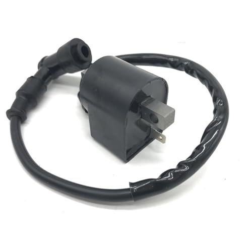 に適合する LT-A50 LTA50 クアッドマスター イタルジェット JT50 ダートバイク用 CDI イグニッションコイル
