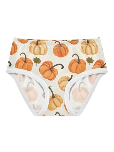 ZZKKO Pumpkins and Maple Leaf Girls Underwear Toddler Panties for Girls Comfort Brief Size 2-8T