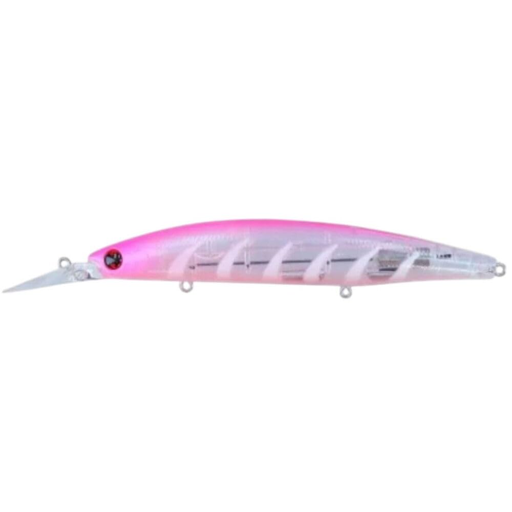 Daiwa Shoreline Shiner Z Vertice 80S SG Maigashi RB - Tiendas de pesca