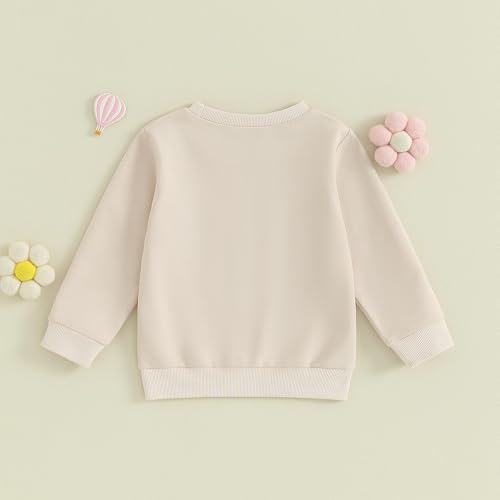 Little Girls Boys Sweatshirt Cute Letter Graphic Embroidered Long Sleeve Crewneck Fleece Pullover Birthday Trendy Outfits4