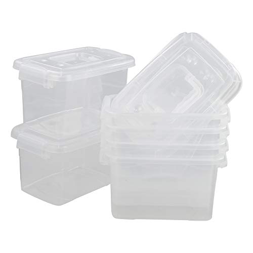 Cadine Caja de almacenamiento de plástico transparente con asa (6 unidades, 5 L), transparente