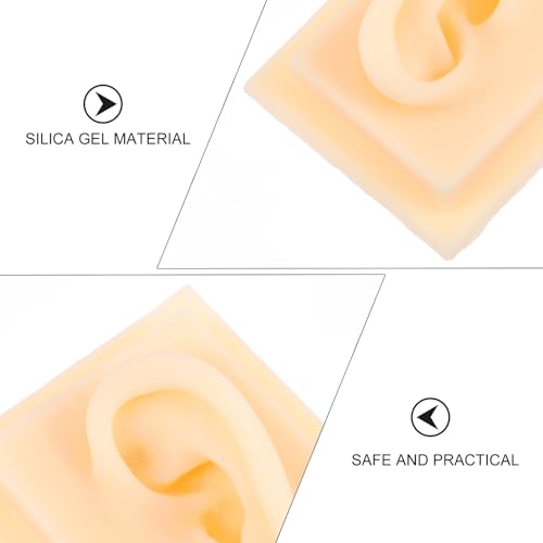 Modèle d'oreille en silicone pour l'enseignement médical et la formation pratique