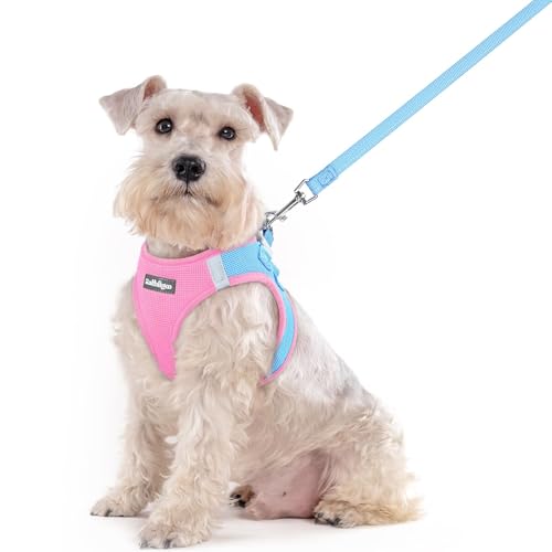 Image of rabbitgoo Dog Harness Medium Sized and Leash Set, Step-in Puppy Pet Vest