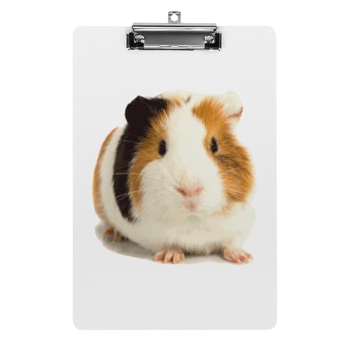 クリップボード A4 縦型 かわいい モルモット ファイルボード 壁掛け 画板 書きやすい お会計ボード て持ち運びやす 文書整理 文房具 会議パッド 事務用品 メモ 学校 家庭用バインダー