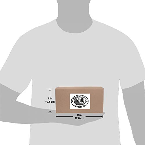 Canada Dry Ginger Ale Mini Soda Cans, 7.5 Oz Soft Drinks Bulk Snacks Pack, Small Refrigerator & Snack Pantry Drink 36 Count Beverage Kitchen Supplies #TOP4