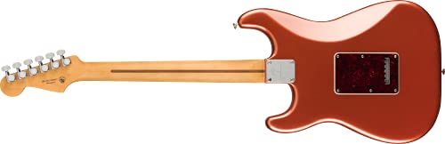 Player Plus Stratocaster PF Aged Candy Apple Red - Les Beatles, Paul McCartney, John Lennon, RIngo Starr, George Harrison Player Plus Stratocaster PF Aged Candy Apple Red – Image 3