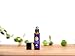 Silk Road Organic Lavender Essential Oil Roll On, Lavandula Angustifolia, 100% Pure USDA Certified Aromatherapy for Calming, Relaxation & Skin - 10 ml Roller - Always Pure, Always Organic