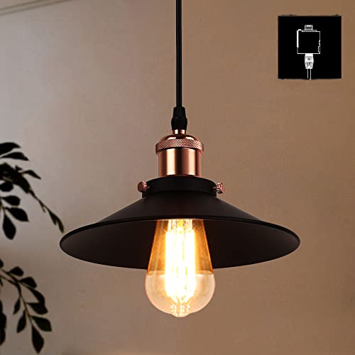 Cerdeco から滲む凛々しさ ヴィンテージ風 ペンダントライト PSE認証済み e26 吊下げ灯 インダストリアルテイスト インテリア照明 上質な印象 天井照明 ダクトレール式 PDT09BG
