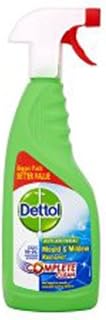 Dettol Mould & Mildew Remover Trigger 750ml - Packaging May Vary