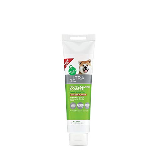 Best Energy Booster For Dogs