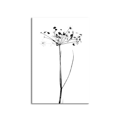 LpXA[g A[gpl AuXgNg ۓI i` Ǌ| ؘgti k CeA ][g  EH[fR[V {[h G Ǐ (50x70cmi20x28inj,A)