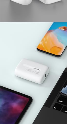 Portable Power Bank Chargers 10000mAh, High Capacity External Battery Packs 2.4 A 2 Ports with USB Type C Compatible for iPhone Samsung Android Mobile Phone Nintendo Switch and Tablets (10000mah)