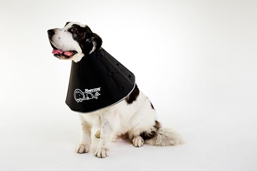 All Four Paws „The Comfy Cone“ Halskrause für Haustiere,XX Large