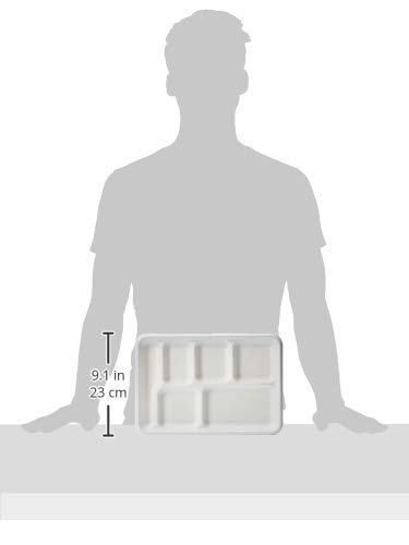 Amazon Basics Compostable 6-Compartment Tray, 12.7" x 8.7" x 1", Pack of 250