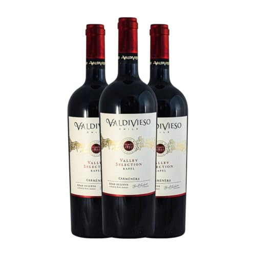 Valdivieso Valley Selection Carmenère Valle de Rapel Gran Reserva 75 cl Vino tinto (Caja de 3 Botellas de 75 cl)