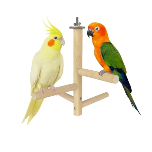 Image of KSK Natural Wood Multi-Branch Bird Perch Stand for Cage | Real Tree Branch Perch for Budgies, Cockatiels, Conures, Lovebirds & Parakeets | Hanging Wooden Bird Cage Accessory for Climbing & Playing