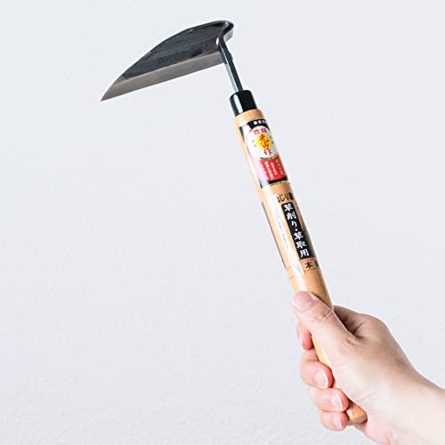 https://m.media-amazon.com/images/I/31bTPf7ZsrL._SL500_.jpg