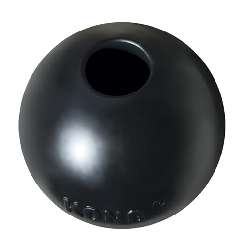 KONG Extreme Ball with Hole - Fetch Toy - Durable Dog Toy for Training, Interactive Playtime & More...