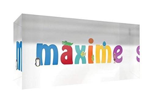 Souvenir en acrylique Maxime souvenir décoratif transparent de 5x15x2 cm