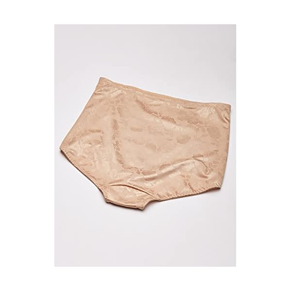 Bali-Womens-Jacquard-Mesh-Tummy-Panel-Firm-Control-Shapewear-Brief-2-Pack-Fajas-DFX710 Bali womens Jacquard Mesh Tummy Panel Firm Control 2-pack Fajas Dfx710 shapewear briefs, Nude/Nude Deluster, 3X-Large US