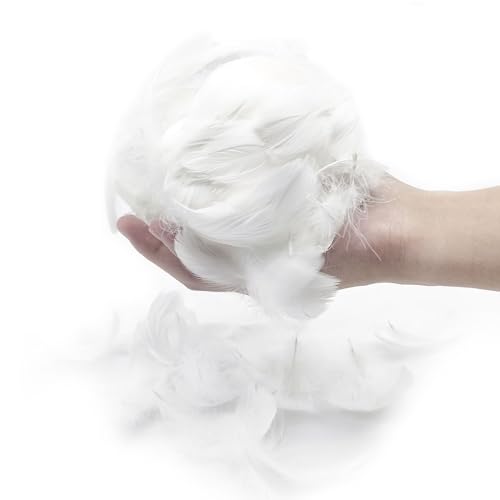 300 Pieces Feathers for Crafts White Feathers Natural Goose Feathers DIY Handmade Crafts Gift Box Filling Ornament Decoration Party Wedding Costumes Decoration Dreamcatcher(White)