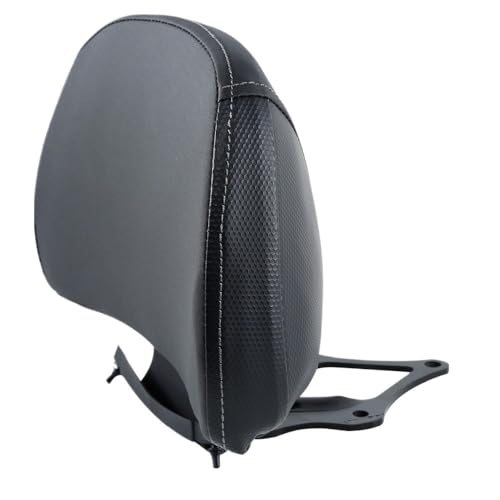 Coussin de dossier arrière de moto pour voyager en duo sur GoldWing GL1800