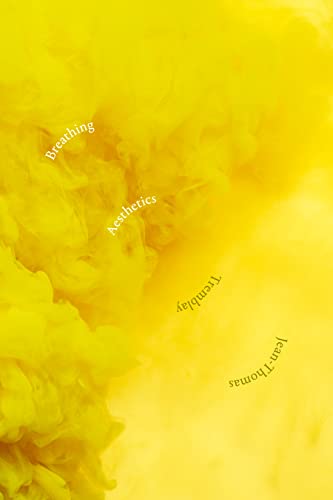 Breathing Aesthetics view 2