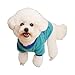 Fashionable Pet Clothes Dog Winter Cartoon Cat 2-Legged Cute Dinosaur Pattern with Traction Ring Christmas Sweater for Small Atrovirens S