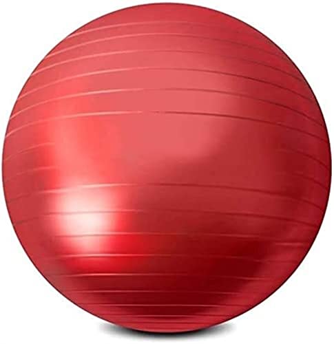 Pelota de pilates ELzEy con bomba de aire para gimnasio en tu casa