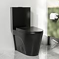 DeerValley Elongated One-Piece Toilet, 17" ADA Comfort Height, Dual Flush 1.1/1.6 GPF, 10" Rough-In, Includes Soft Close Seat, Black Finish