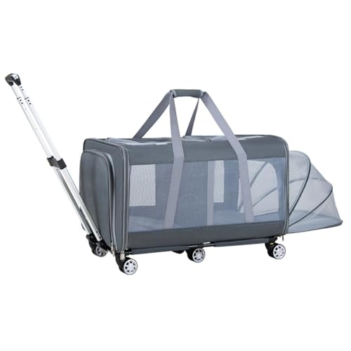 Poussette de transport extensible et pliable pour chiens et chats