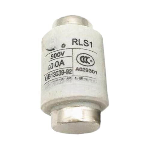 Fusible spirale RLS1-60 50A 60A haute performance 500V pour équipement de précision