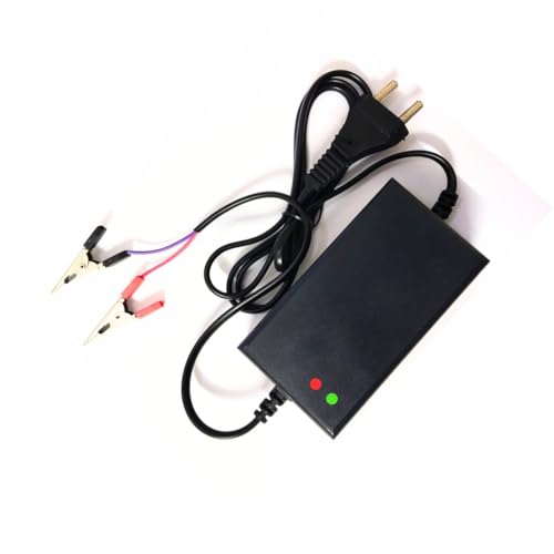 TechSupreme12 Volt Battery Charger 2 Amp Bike Car Battery Charger...