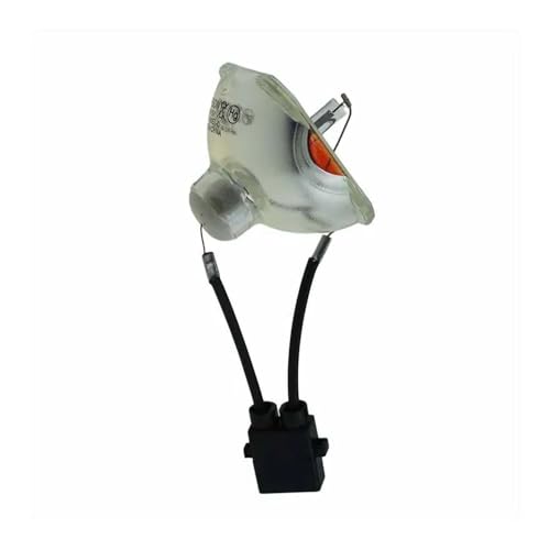 Accessoires de projection V13H010L pour retrouver une luminosité éclatante