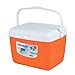 ELAUK Elektryczna lodówka samochodowa 13 l inkubator zewnętrzny przenośne pudełko do przechowywania żywności samochód zimne pudełko wędkarskie lodówka lodówka do podróży (kolor: Pomarańczowy)