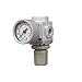 PneumaticPlus SAR200-N02BG Miniature Compressed Air Pressure Regulator 1/4