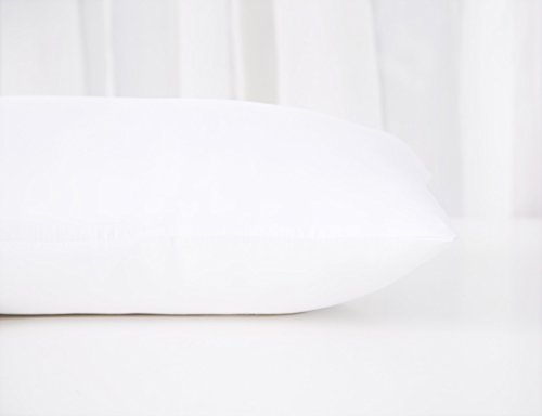 Acanva Decorative Rectangle Throw Pillow Inserts Hypoallergenic Form Stuffer Cushion Sham Filler, 1 Count (Pack Of 1), White #TOP7