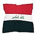 Women's Fashion Neck Scarf Iraq Iraqi Flag Neckerchief Headscarf for Her Wife Satin Hair Wrap Silk Feeling Hairband Headband Belt for Handbag Purse Accessories Gift