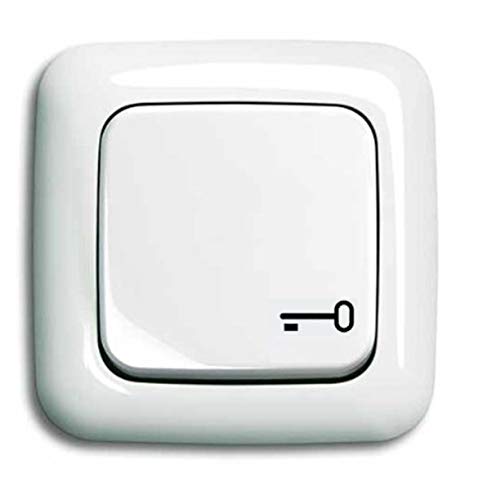 Busch-Jaeger (Original) Garagentor Schalter Tor-Schalter öffnen und schließen für Innen oder Haus Türöffner - Komplettset mit Symbol Schlüssel Wipptaster + Rahmen + Wippe-alpinweiß-Reflex SI–2020 US