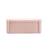 Facile à déplacer : Malgré sa taille confortable, ce coffre reste léger et facile à déplacer d'une pièce à l'autre selon vos besoins.