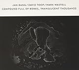  Compound Full of Bones, Translucent Thousands